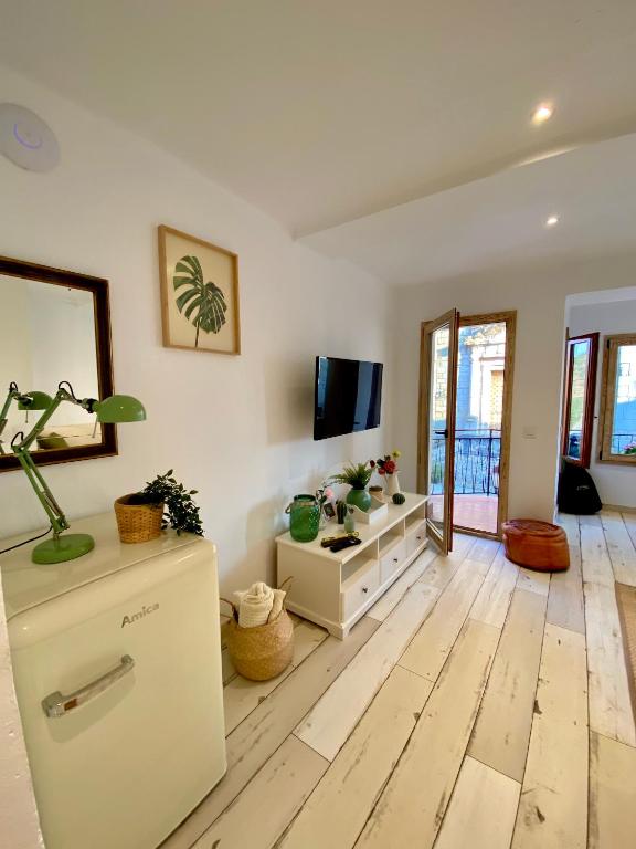 TV a/nebo společenská místnost v ubytování Apartaments Chenin Blanc-Priorat-