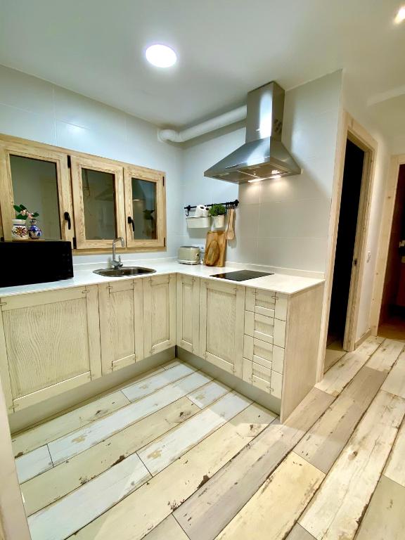 Kuchyň nebo kuchyňský kout v ubytování Apartaments Chenin Blanc-Priorat-