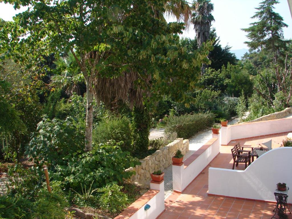 Quinta Verde Sintra - Casa de Campo - 19