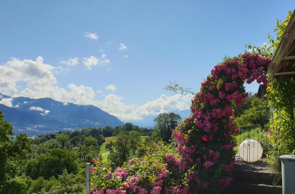 Une bande de fleurs sur le côté d'un bâtiment dans l'établissement Ferienwohnung Düns4, à Düns