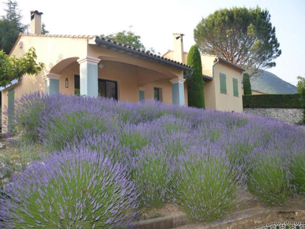 a field of lavender in front of a house at Locations de Vacances Les Flachères (Dieulefit) in Dieulefit