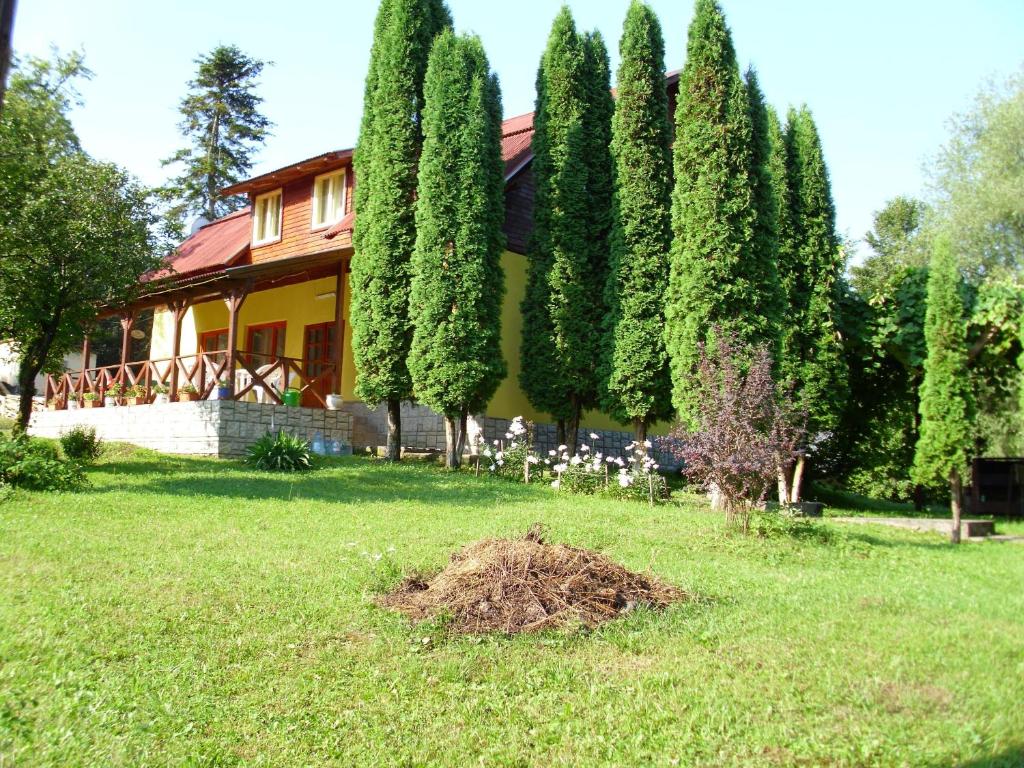 a house with a bunch of trees in the yard at Vila Roseta in Cărbunari