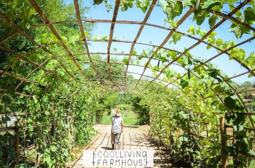 Zahrada ubytování COOLLiving Farmhouse Organic