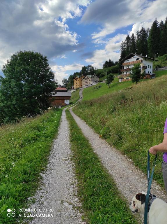 Domácí mazlíčci ubytovaní s hosty v ubytování B&B antico tabià dolomitico