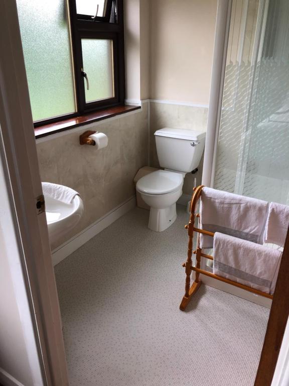 a bathroom with a toilet and a sink and a window at Elm Brook B&B in Ballyshannon