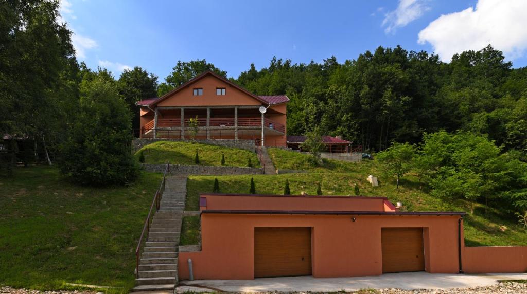 una casa su una collina con un garage di Cabana Oana Retezat a Râu de Mori
