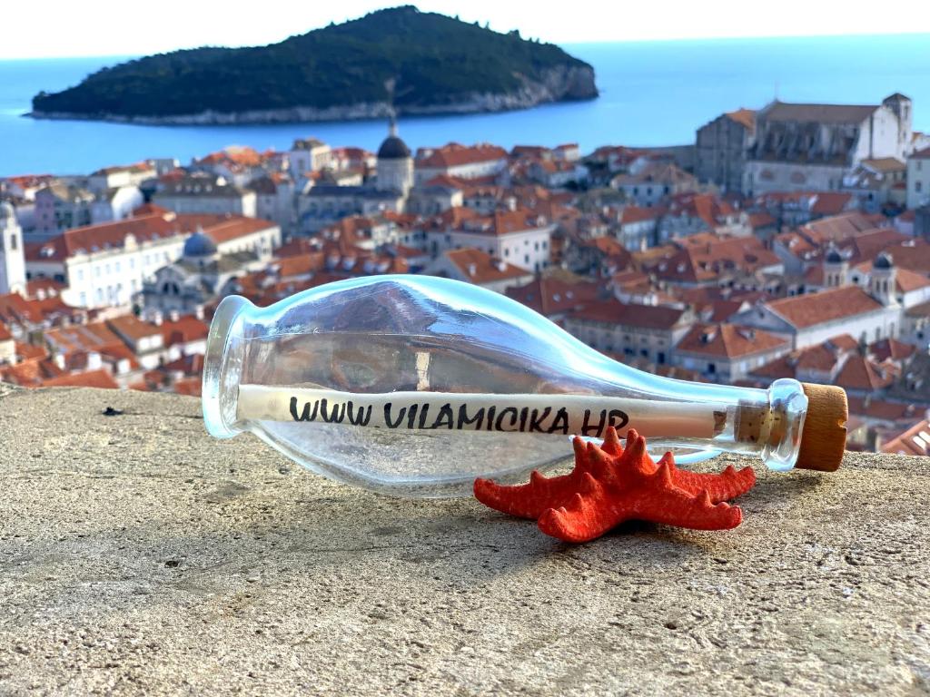 Príroda v okolí penziónu