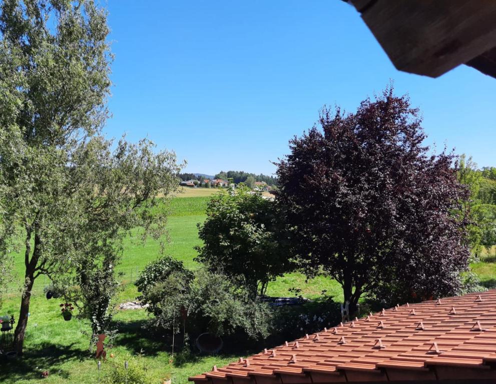 a roof of a house with trees in a field at Urlauben, da wo der Geist wohnt in Eging