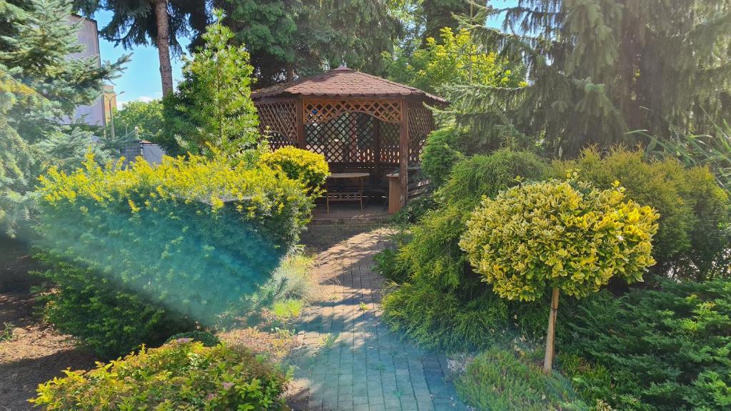 Apartament DeLuxe 1 - 7