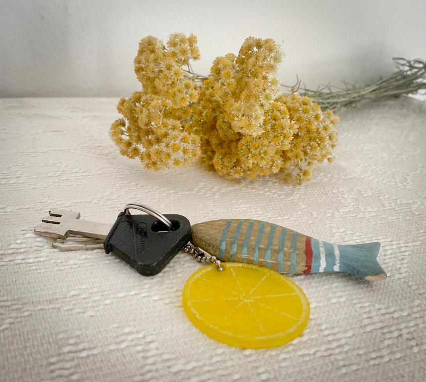 garść winogron i klucz z pomarańczą w obiekcie Casa storica w mieście SantʼAntìoco