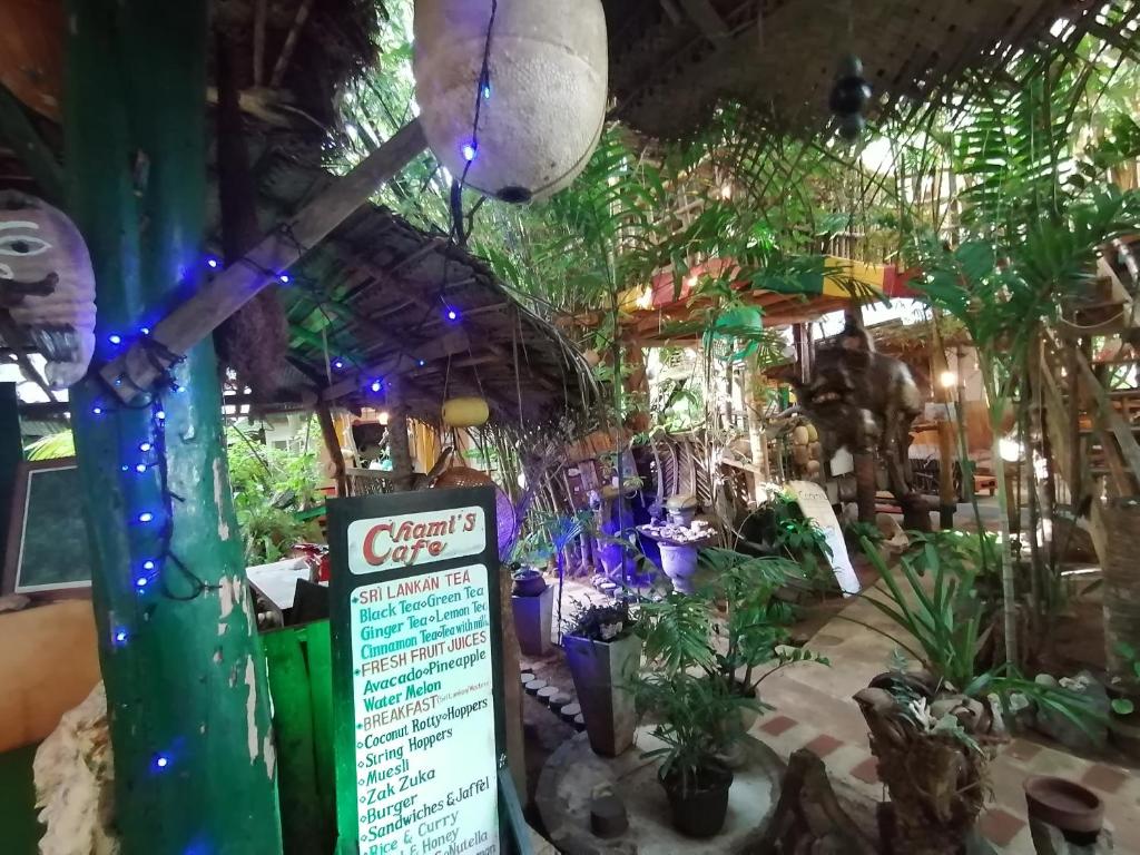 Fotografie z fotogalerie ubytování Chami's Place v Hikkaduwě