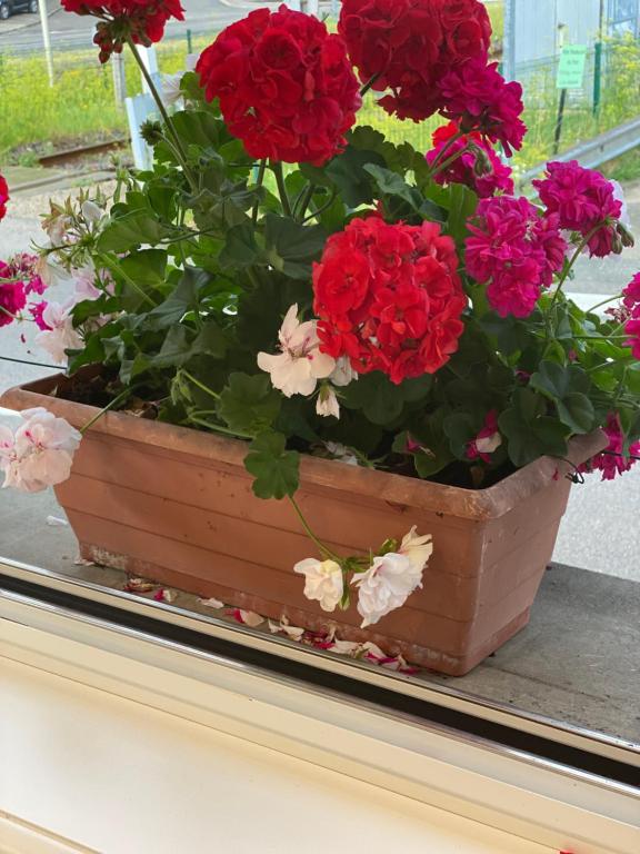 Hotel Du Pont La Grandʼcombe Chateleu Updated 21 Prices