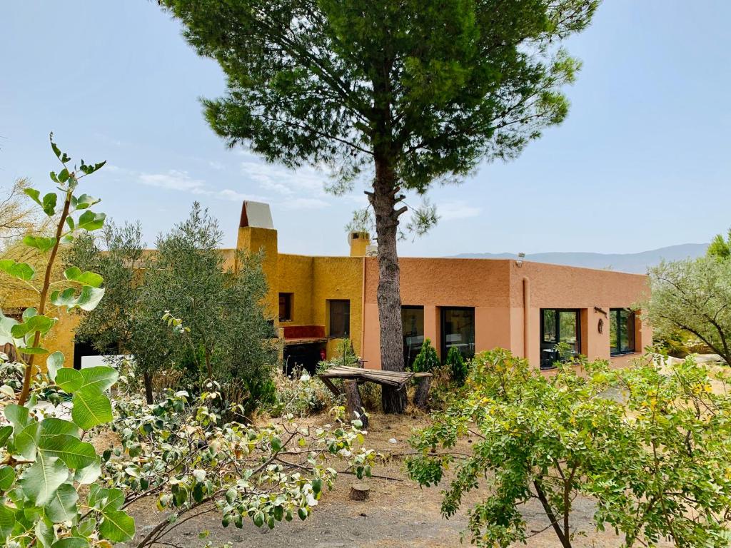 una casa con un albero di fronte di Casa Sol y Vida Tabernas a Tabernas