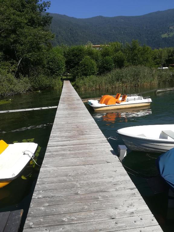 Seeappartment Regina Bodensdorf am Ossiacher See am Fuße der Gerlitzen - One-Bedroom Apartment