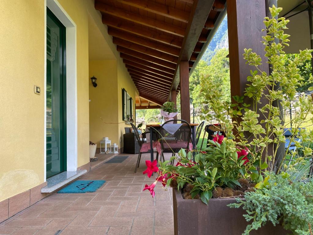 Zahrada ubytování La Rosa Home