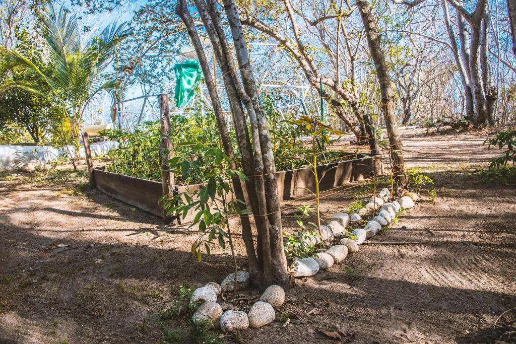Zahrada ubytování New Ruins Off-The-Grid SuperAdobe Domes with Pool