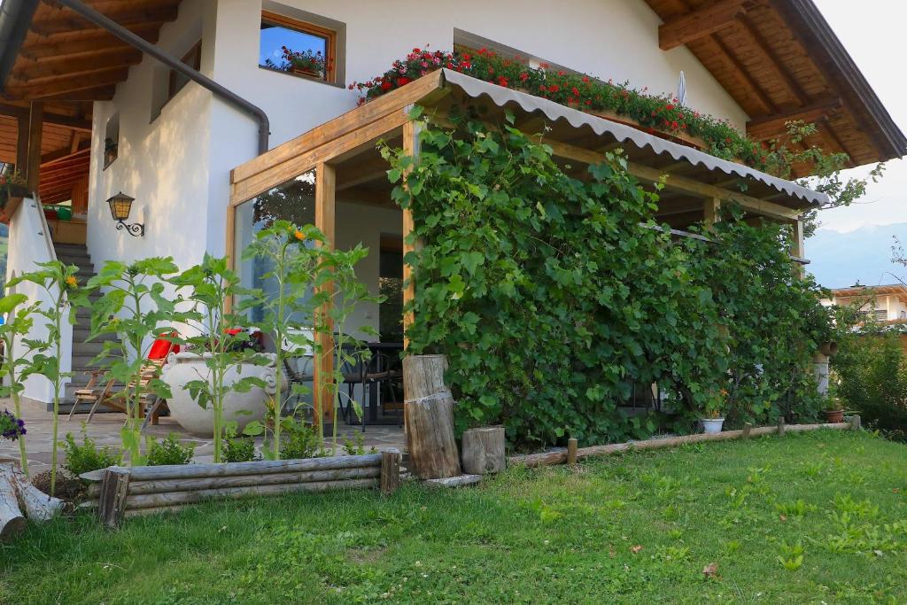 Zahrada ubytování B&B Frühlingsheim