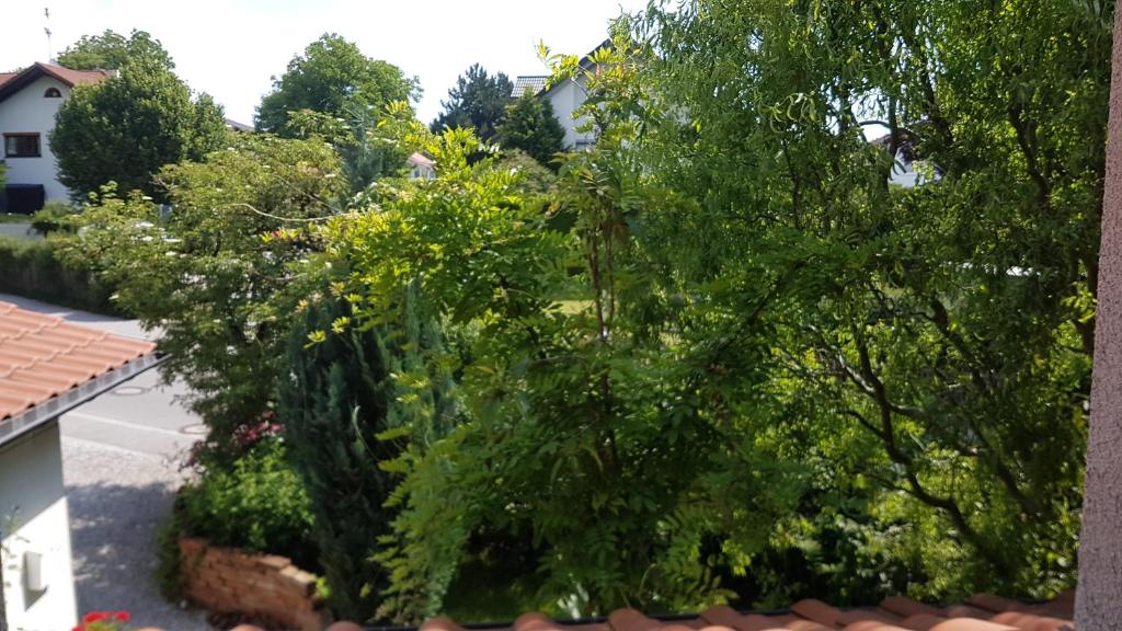 Zahrada ubytování Gastezimmer Nahe Wesslinger See