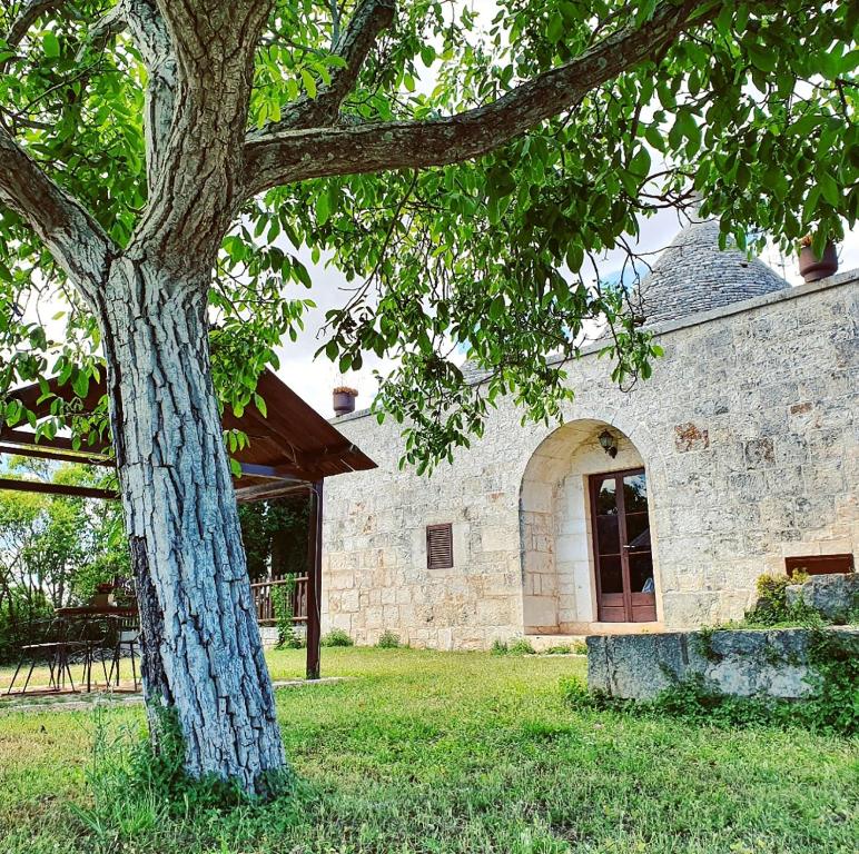 a tree in a yard next to a building at Trulli Panoramici in Alberobello