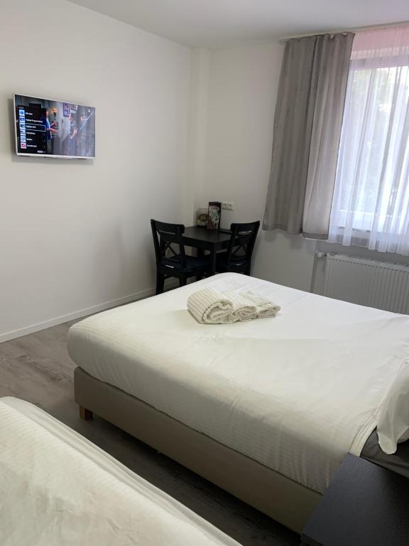 Apartments am Rheingarten - 工作室