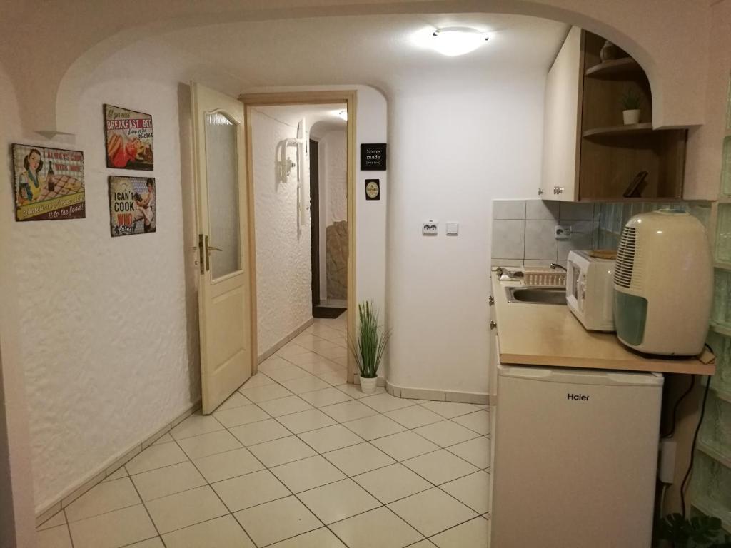 Kuchyňa alebo kuchynka v ubytovaní City Center Studio Apartman