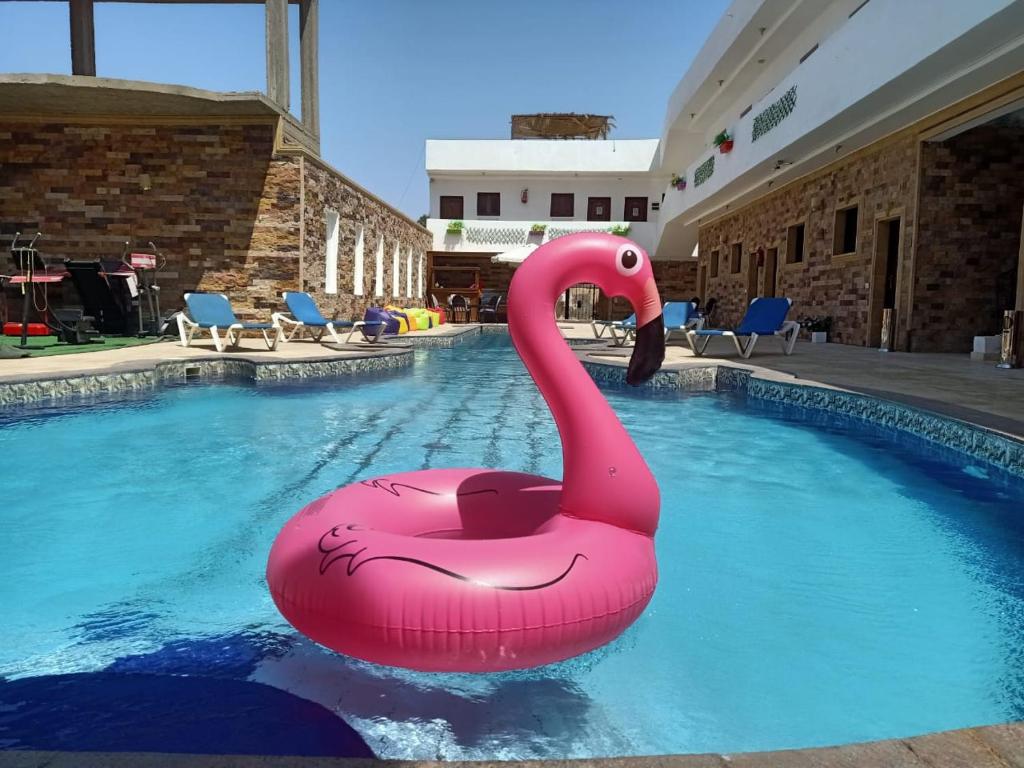 Bazén v ubytování Carmine Hotel Dahab nebo v jeho okolí