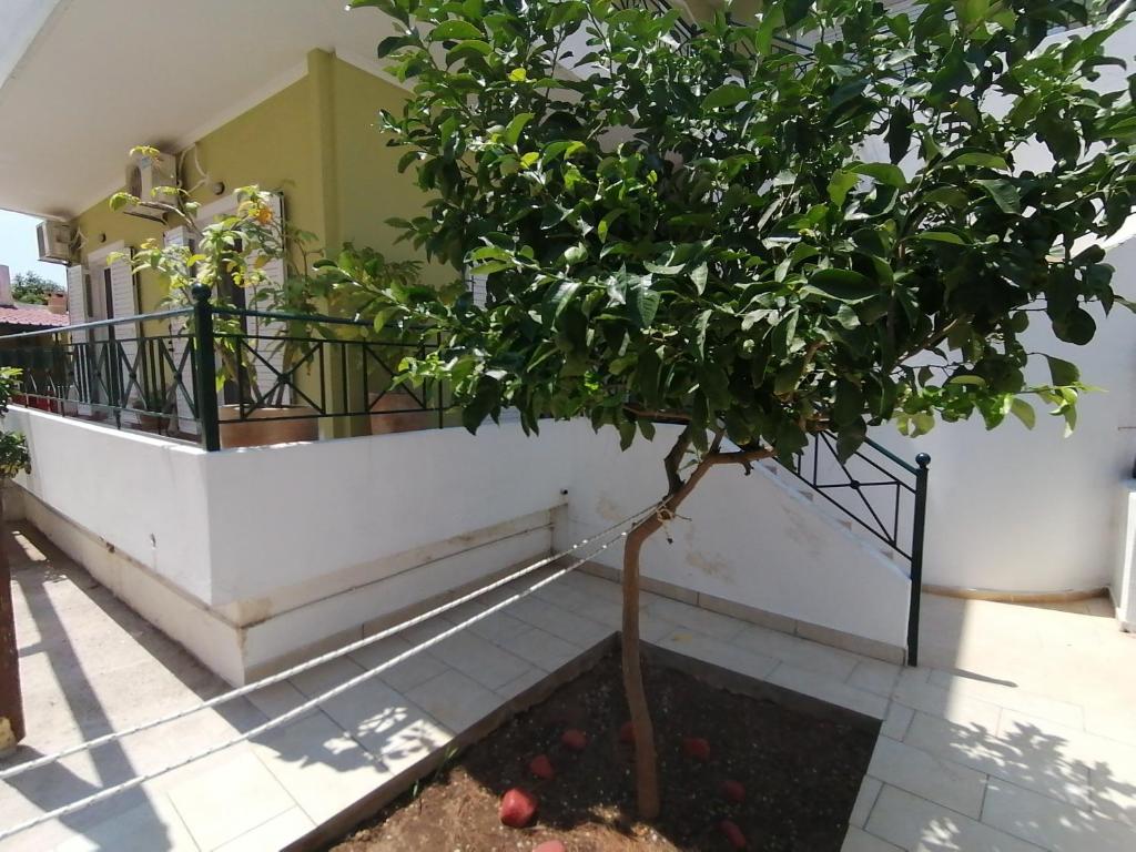 Vicky's place,near Athens airport - Departamento