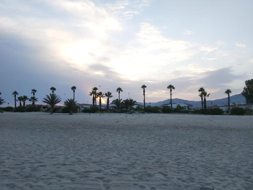 una playa de arena con palmeras y un cielo nublado en Casita en la Playa planta baja de adosado, en Castellón de la Plana