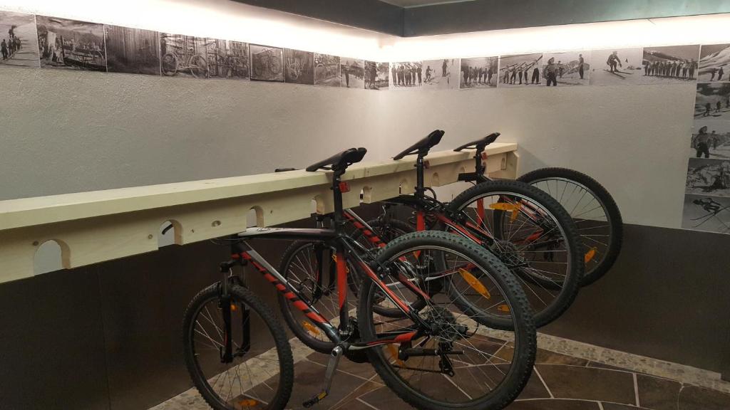 Alp Art Hotel Götzens - Resim 20