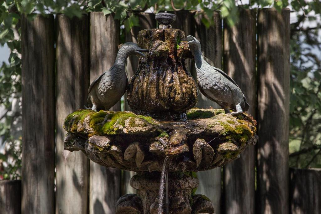 Alp Art Hotel Götzens - Resim 24