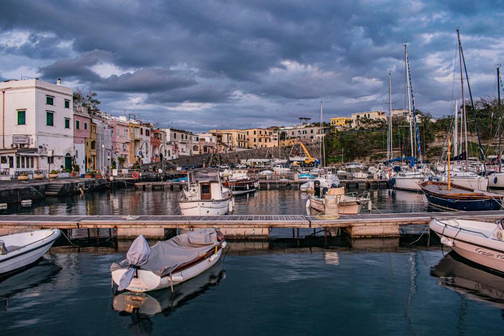 un grupo de barcos atracados en un puerto con edificios en Finisterrae, en Procida