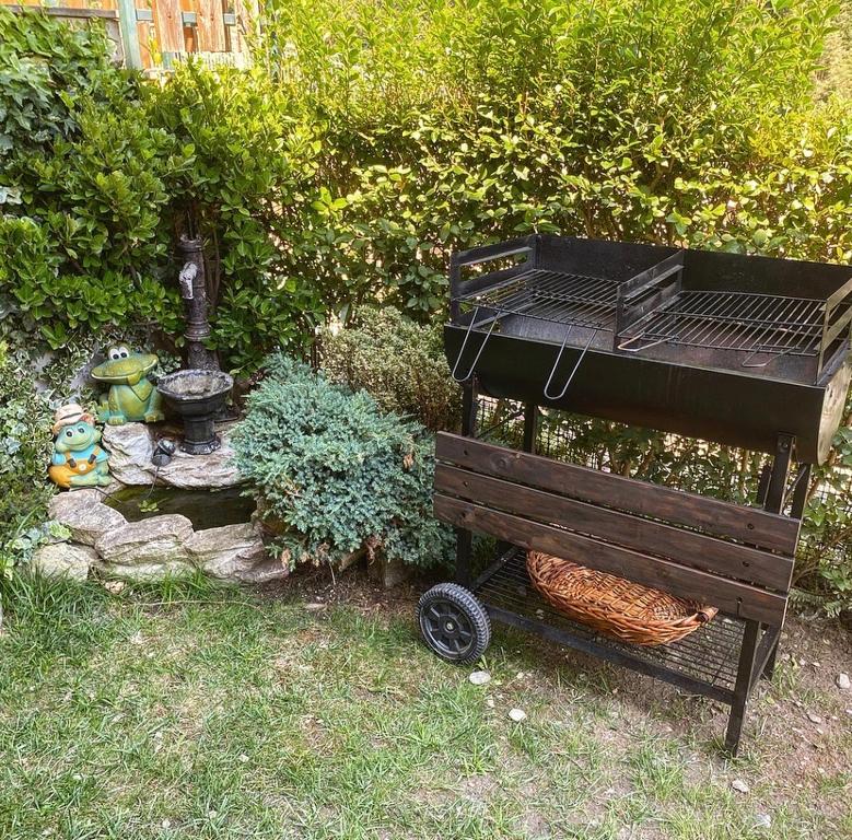 Vonkajšia záhrada v ubytovaní Appartamento con Giardino e Vista sulla Valmalenco