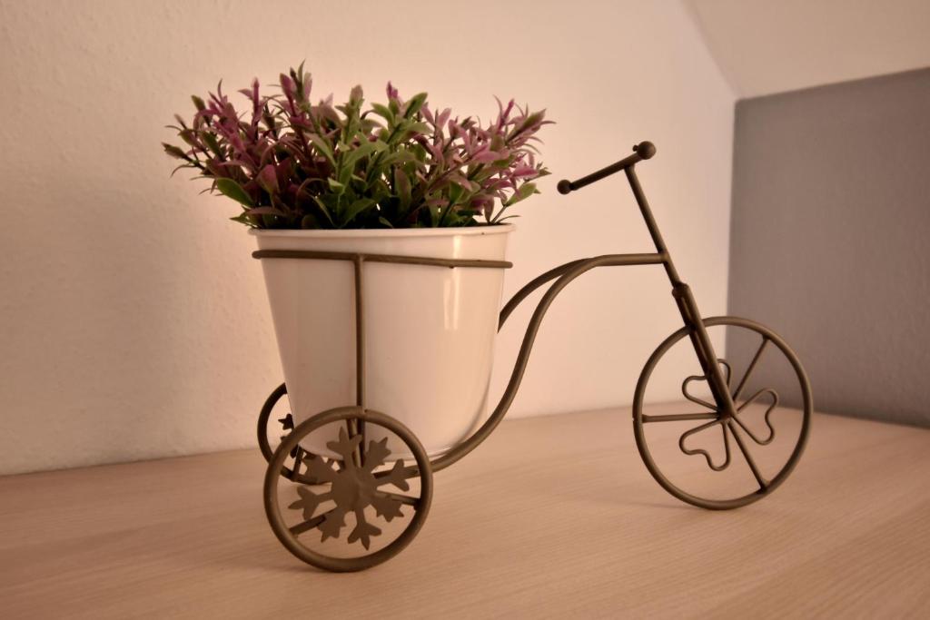 Guesthouse Obitelj Paulic - 9