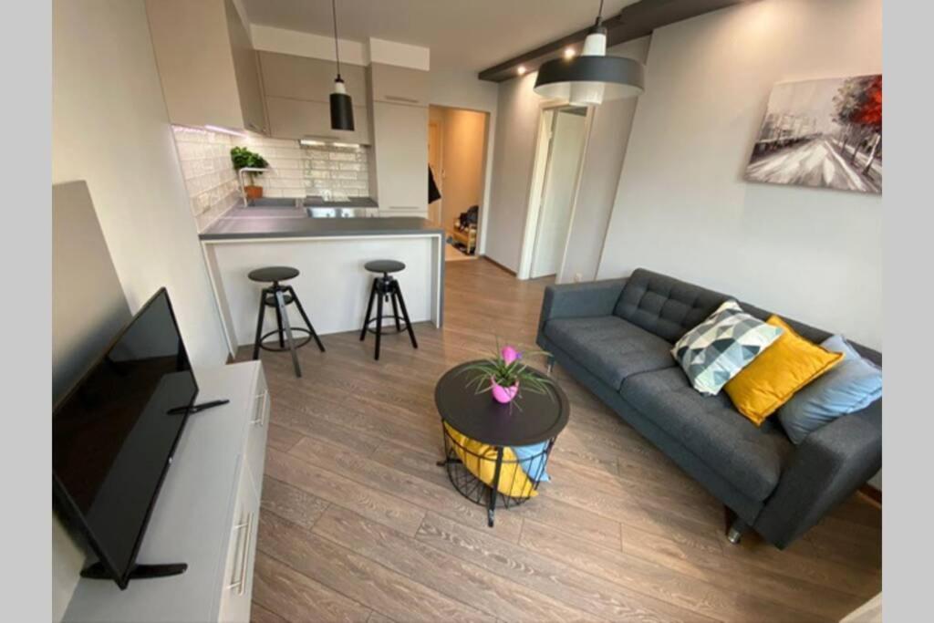 Il comprend un salon avec un canapé et une cuisine. dans l'établissement LUX 1BD/1BA City Center Apartment, à Blagoevgrad