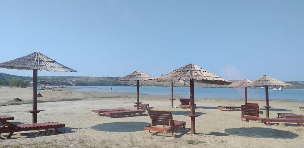 Príroda v okolí apartmánu