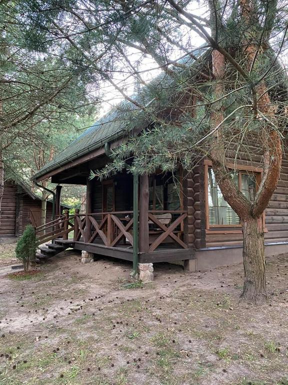 a log cabin with a tree in front of it at Šeimyninis namelis nr.1 in Kurėnai