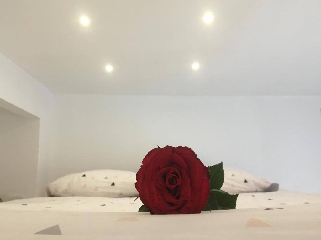 une rose rouge assise au-dessus d'un lit dans l'établissement Lovely Studio, à Bourges