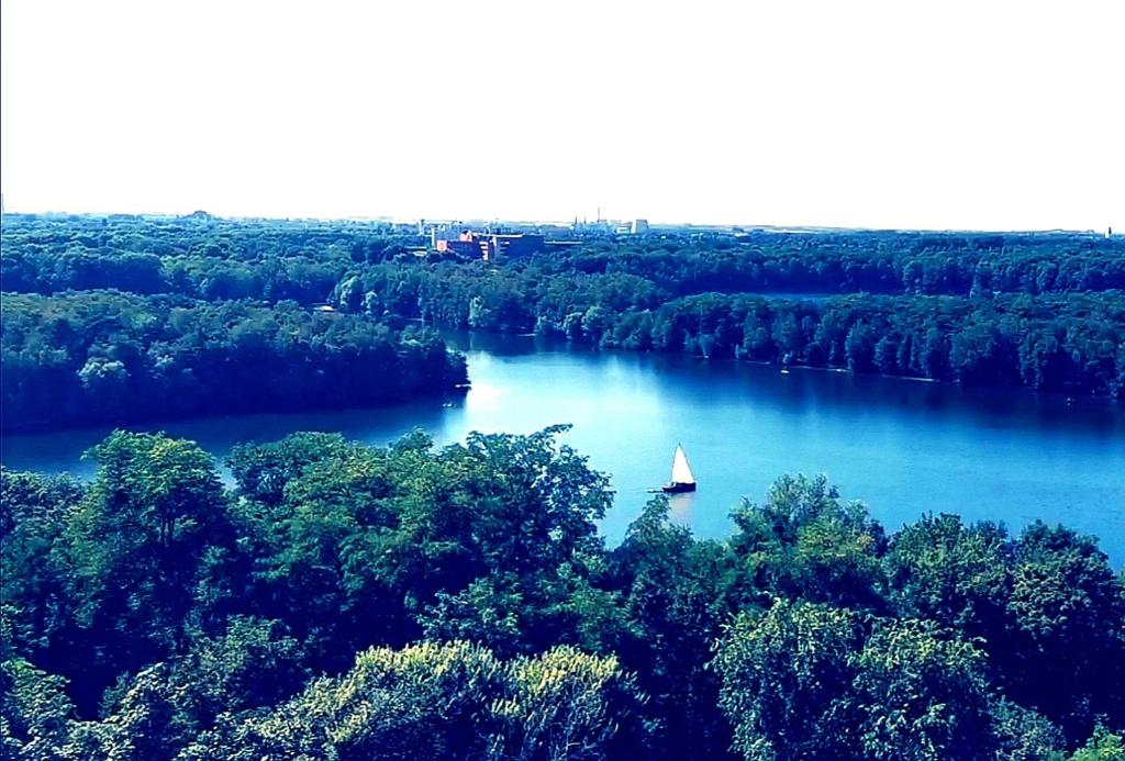 una barca a vela su un fiume alberato di Apartment Seascape - Self Check-In a Duisburg