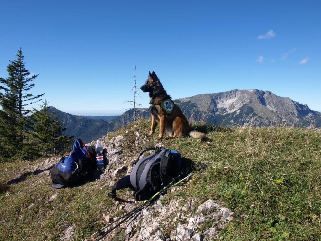 Příroda nedaleko apartmánu