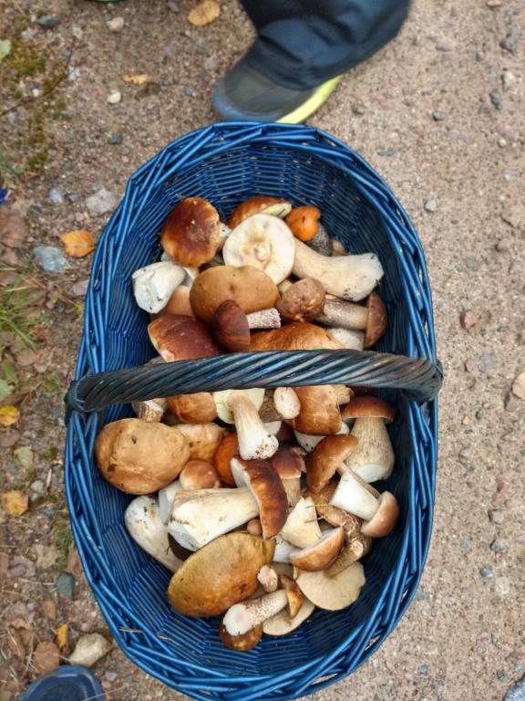 Jedzenie w domu wakacyjnym lub w pobliżu