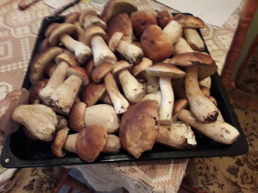 Jedzenie w domu wakacyjnym lub w pobliżu