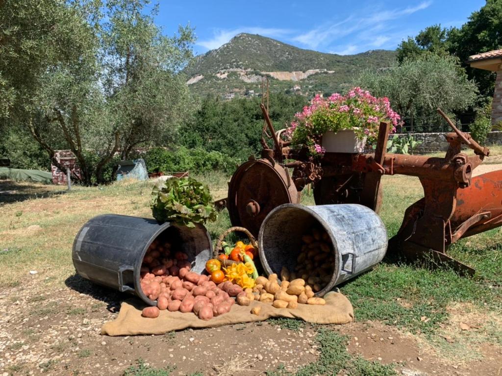 Agriturismo Panta Rei Santʼoreste Updated 2021 Prices