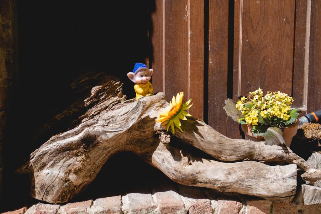 Fotografie z fotogalerie ubytování Antico Borgo di Torri v destinaci Sovicille