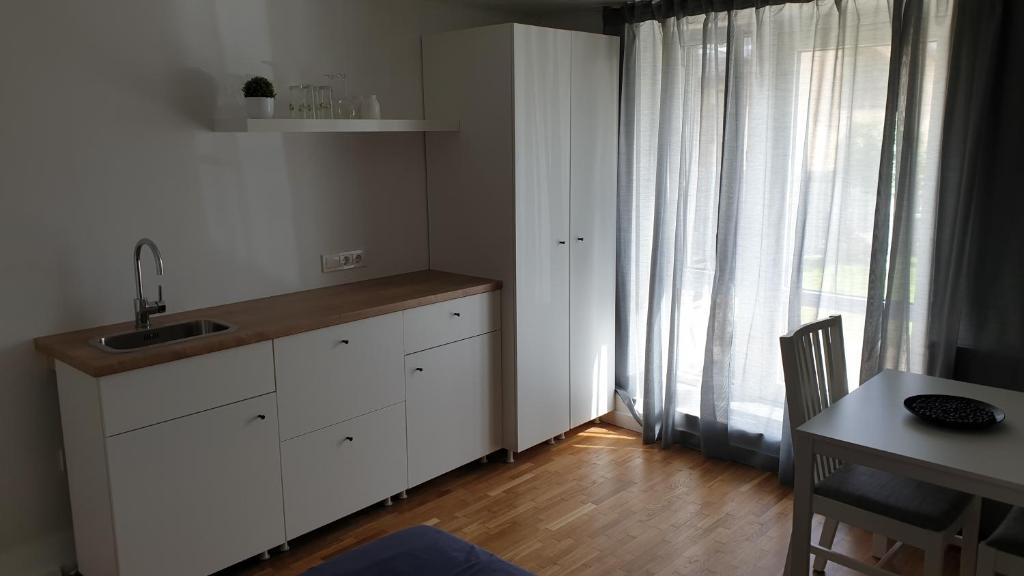 eine Küche mit einem Waschbecken, einem Tisch und einem Fenster in der Unterkunft Muziejaus 10 studija in Anykščiai