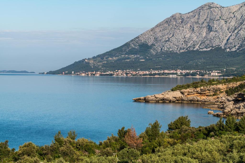 Colonia Apartments - 19