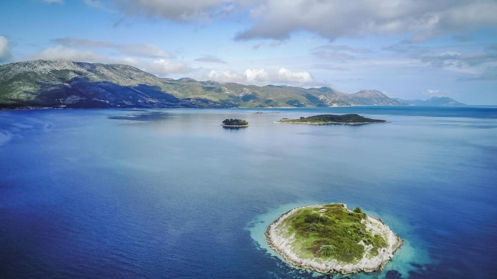 Colonia Apartments - 18