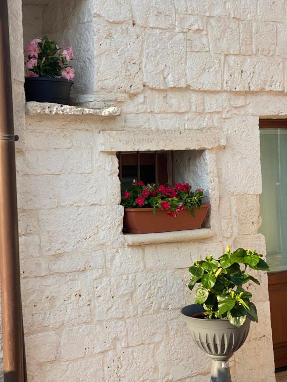 Trullo il cantastorie - 8