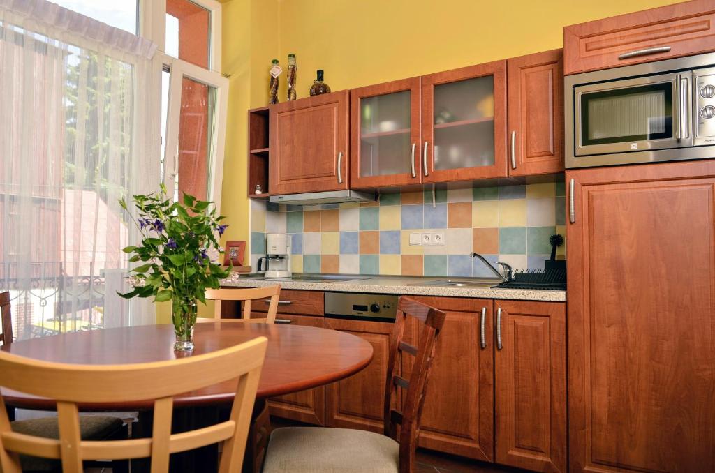 Kuchyň nebo kuchyňský kout v ubytování Apartmány Irisis