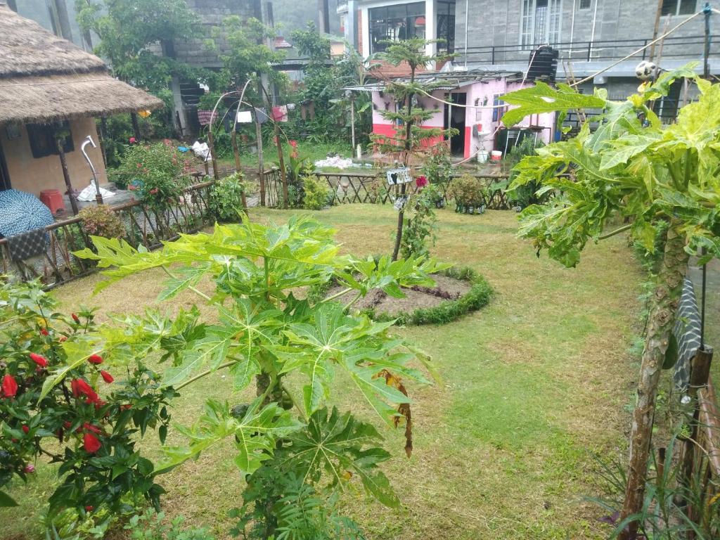 Vườn quanh My beautiful cottage in pokhara