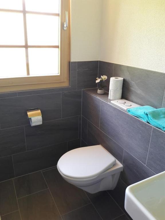 Ferien in der Bergwelt von Adelboden - Habitación Doble De Lujo Con Ducha
